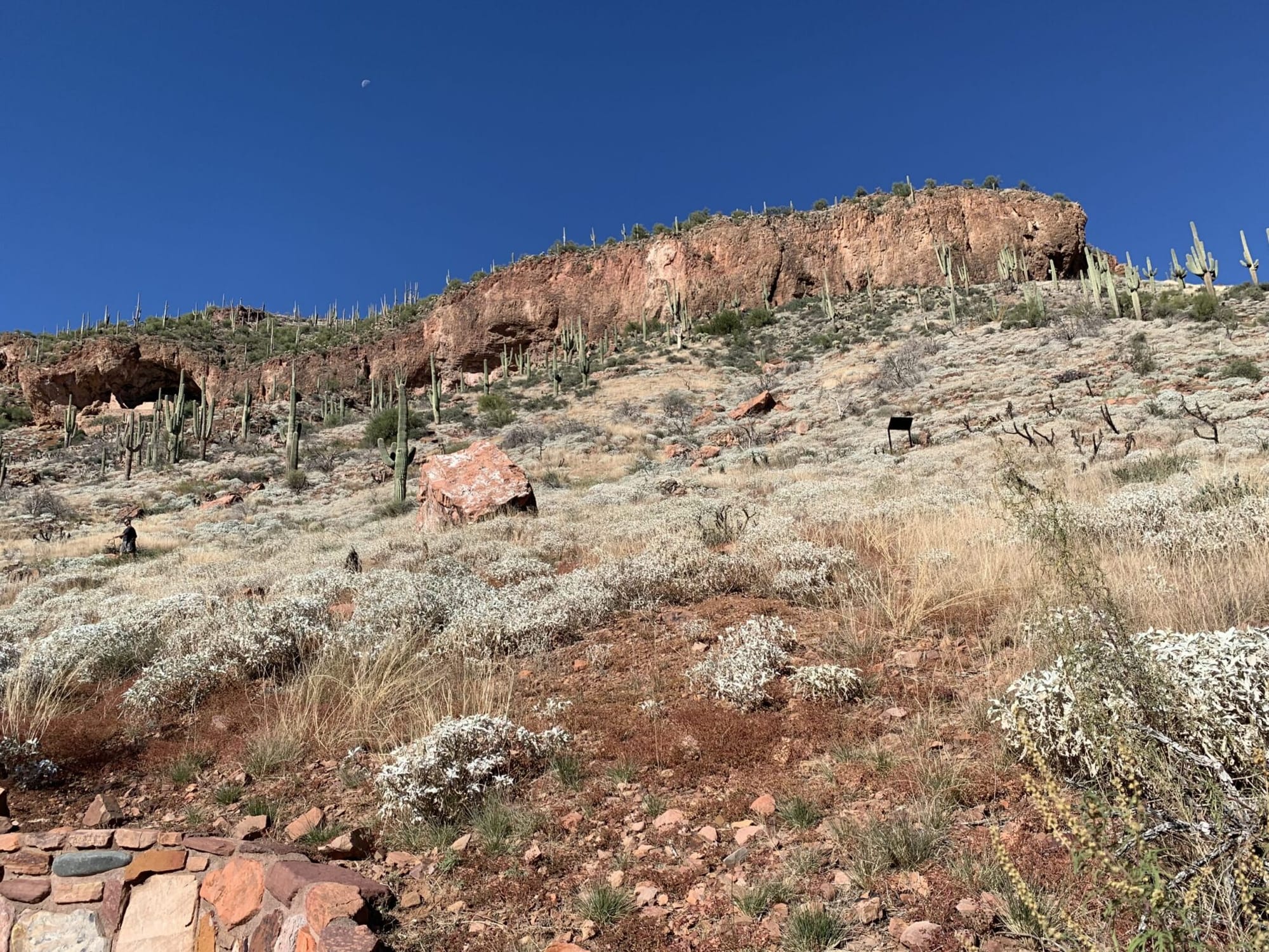 Tonto National Monument