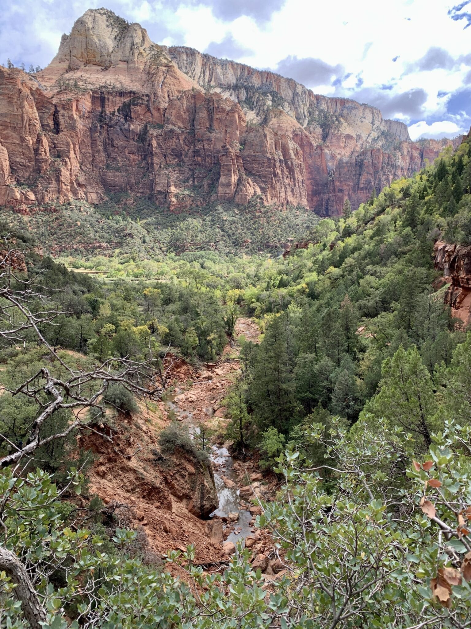 Zion National Park - the afternoon