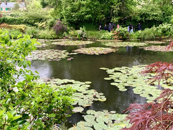 Ponds, Pads and Paintings